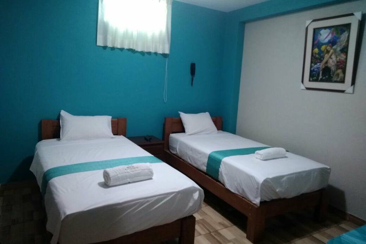 Habitación básica con 2 camas individuales | Escritorio, cortinas blackout, wifi gratis y ropa de cama