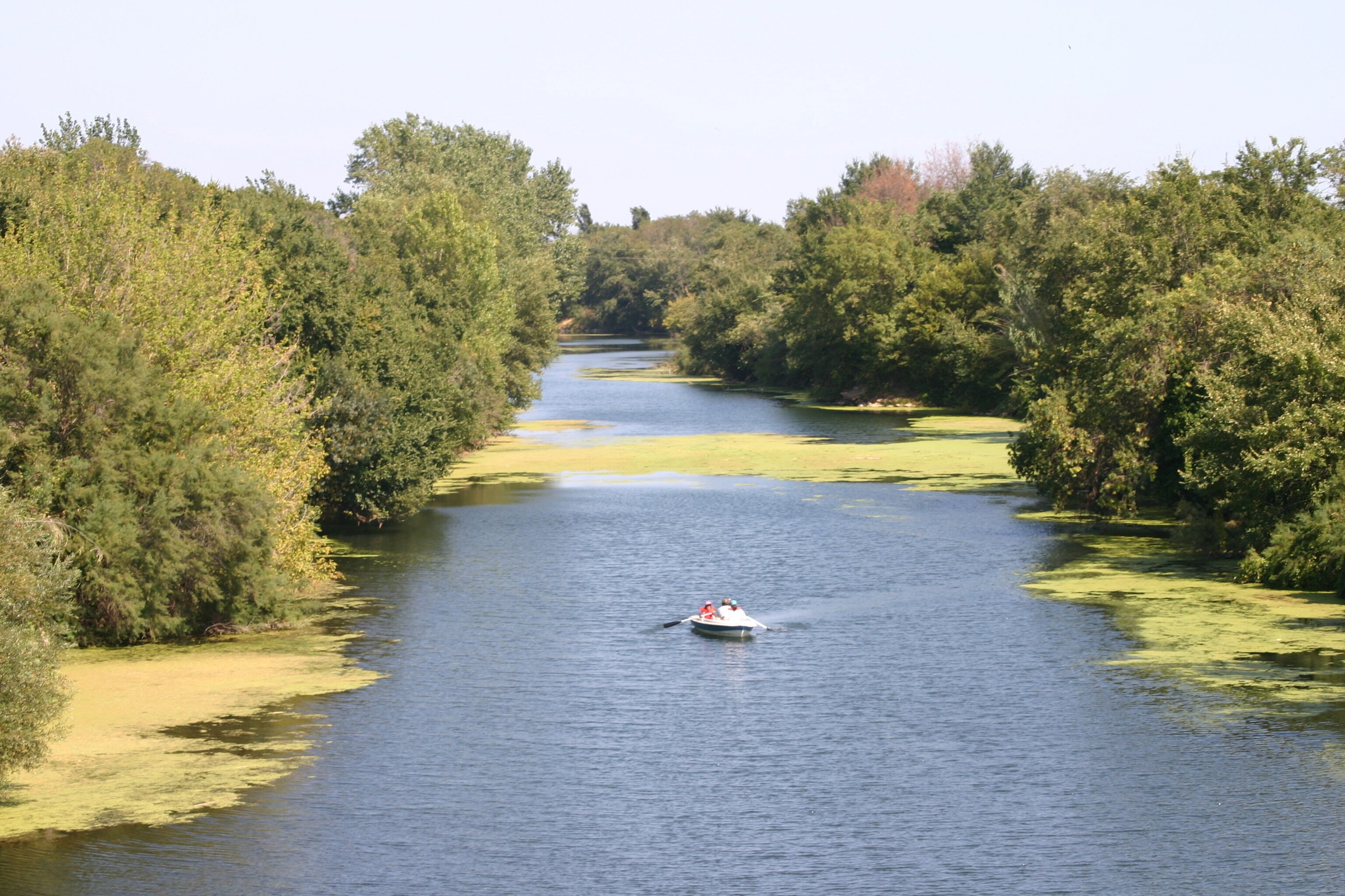 Een rivier omringd door weelderige begroeiing, met een boot in het midden.