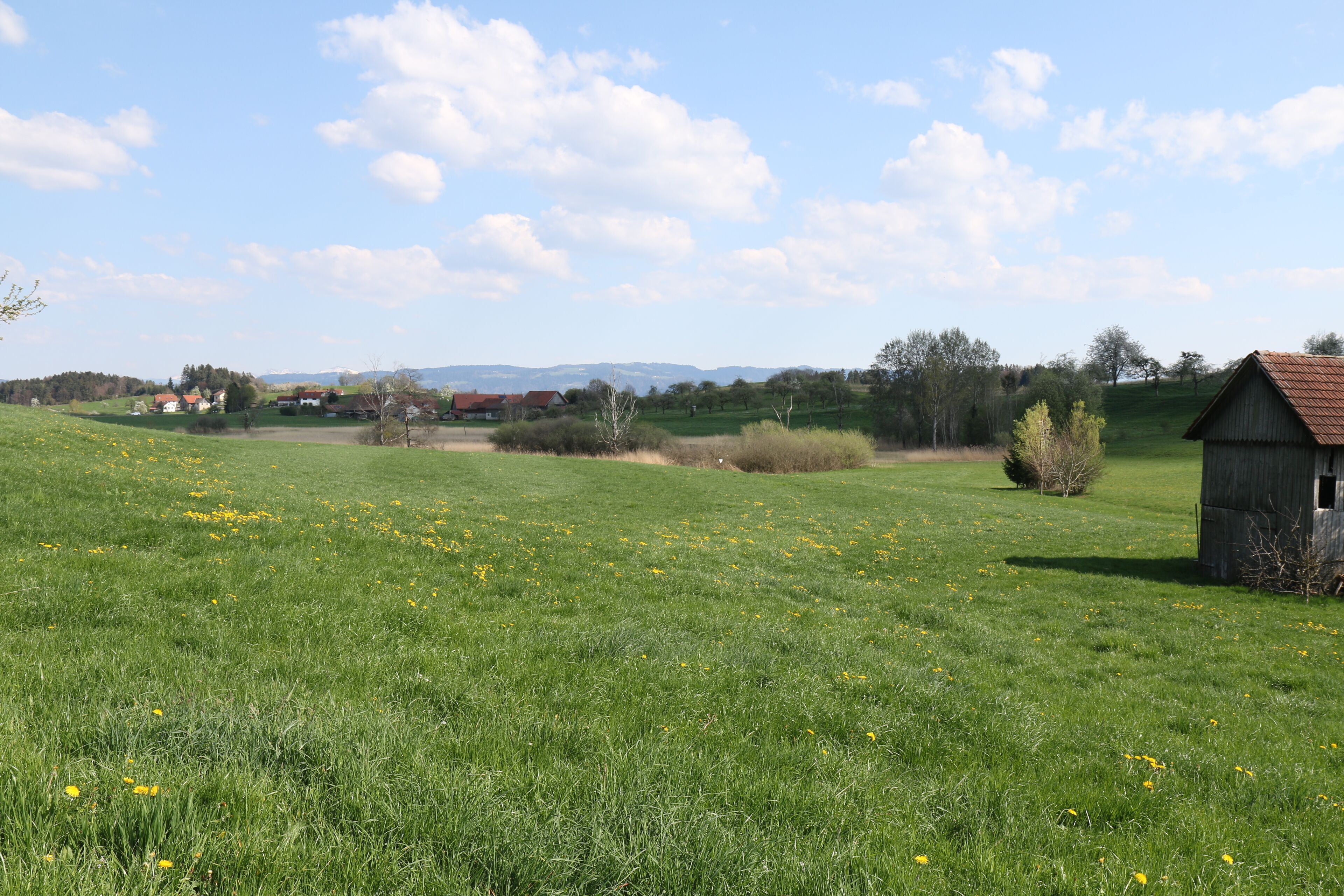 A rural landscape with a grassy field, a small wooden structure, and distant houses.