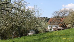 A house with a sloped roof and a garden with blooming trees and grass.