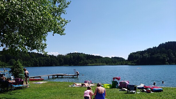 A lakeside setting with grassy areas, a dock, and boats.
