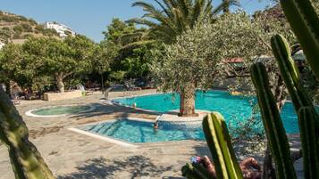Zona de piscina con sillones reclinables y un cactus al frente.
