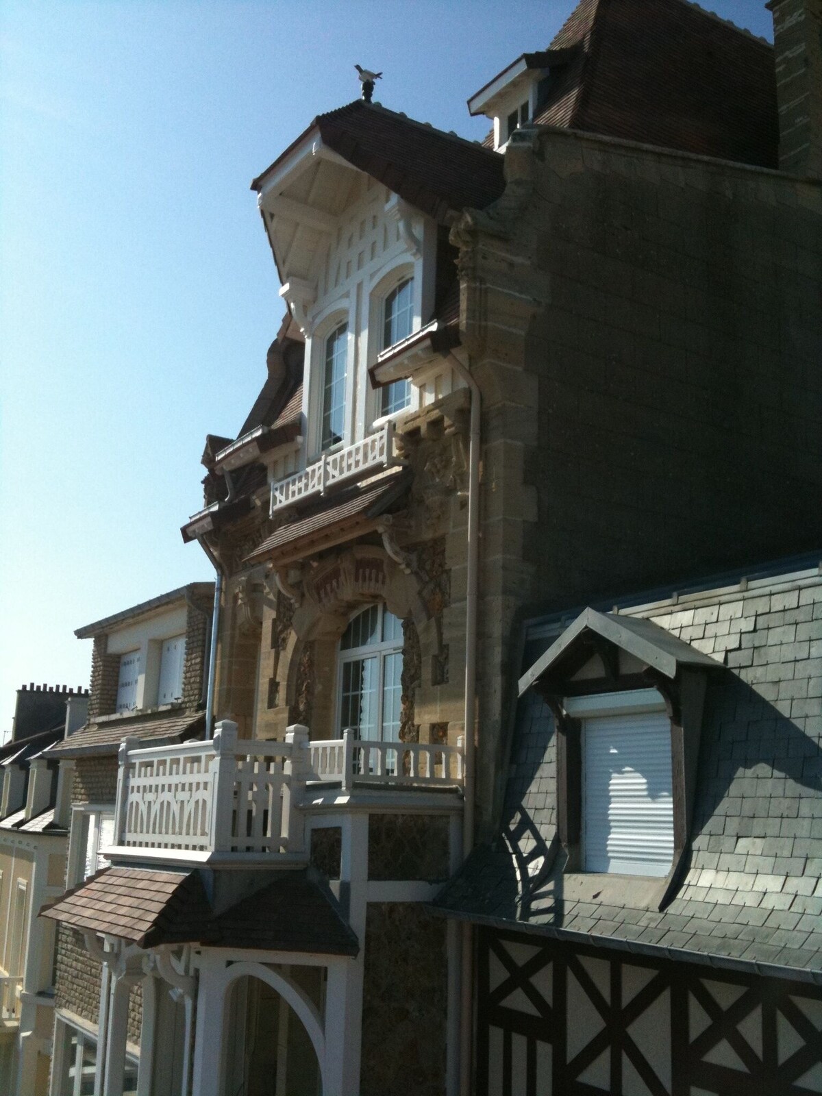 Imagen de perfil del propietario o de la propietaria