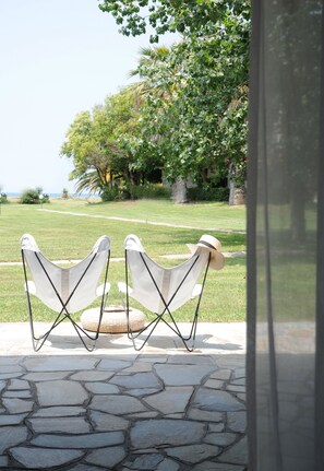 Terras