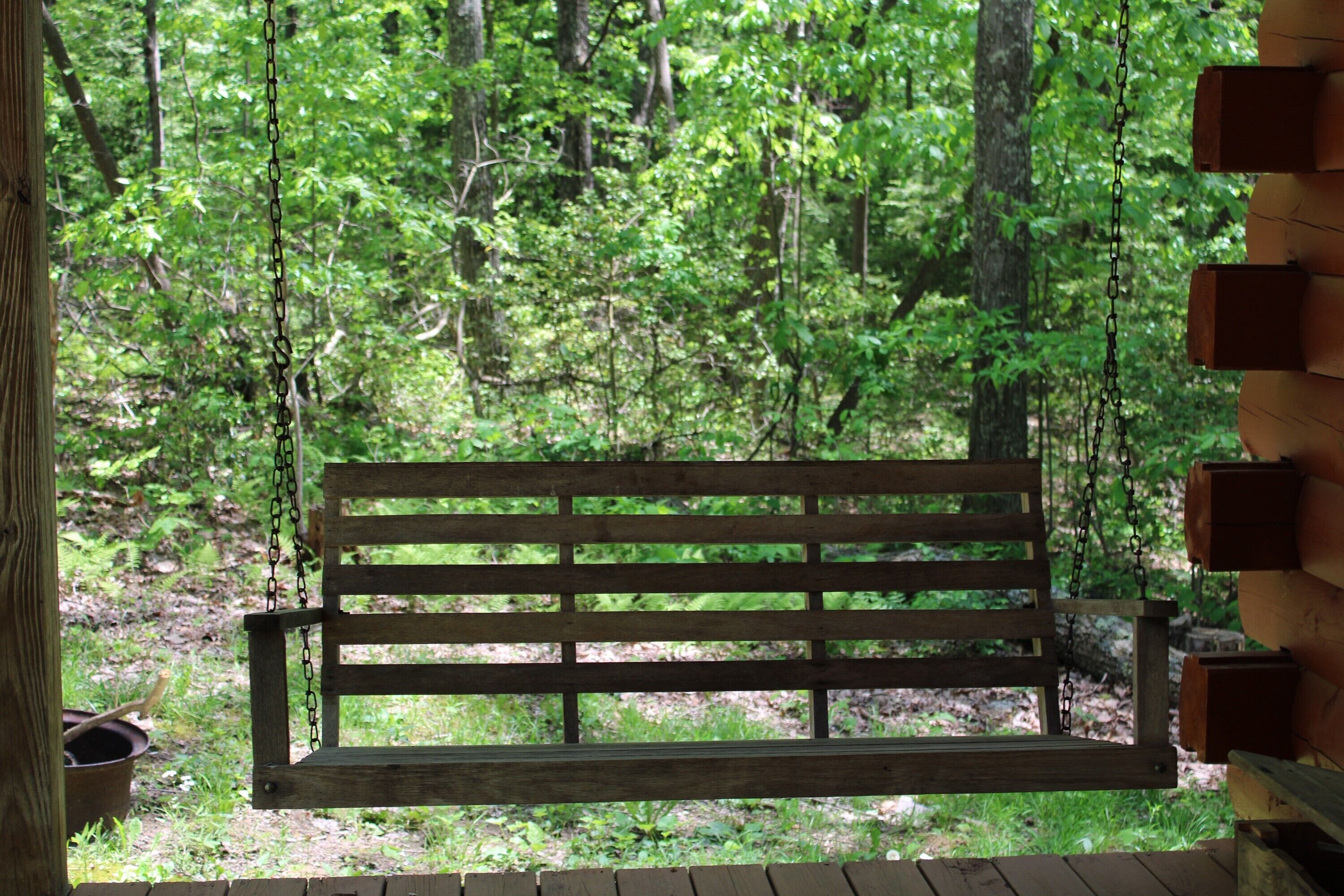 Un banc en bois, auquel est attachée une chaîne, se dresse sur fond d’une forêt dense.