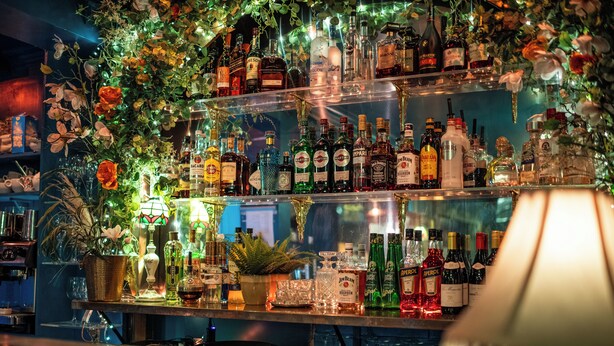 Un espace bar avec des étagères remplies de différentes bouteilles d’alcool, des plantes décoratives et une vitrine.