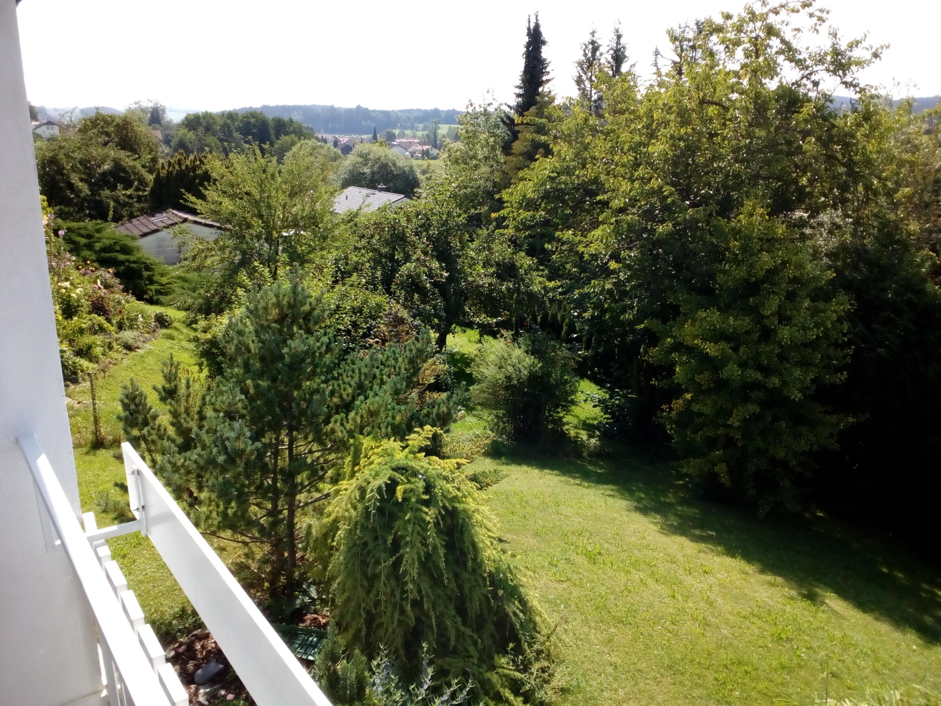 Vista desde un balcón sobre un jardín exuberante con varios árboles y un césped.