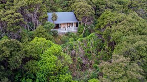Una casa rodeada de un bosque tupido.