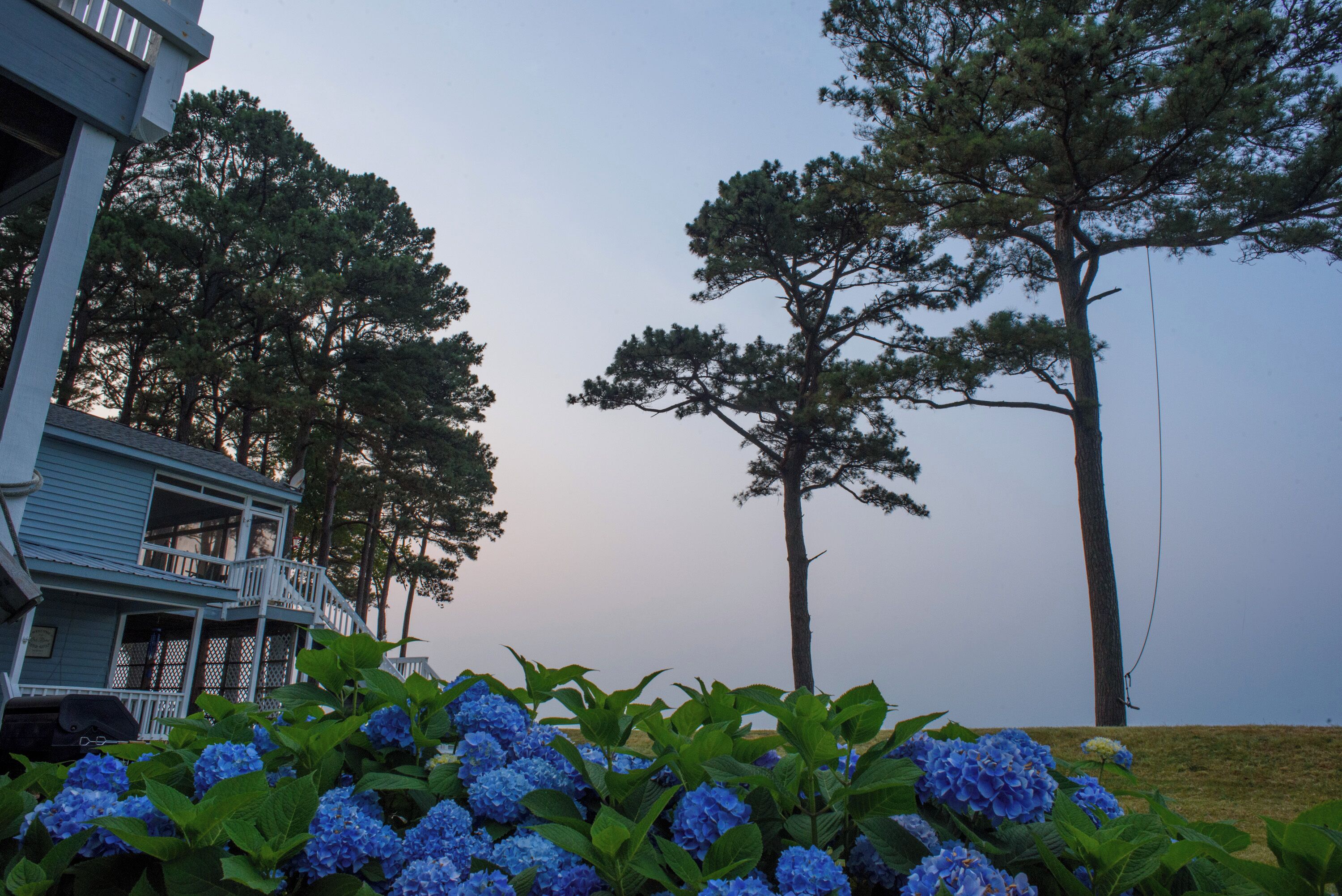 Área da propriedade