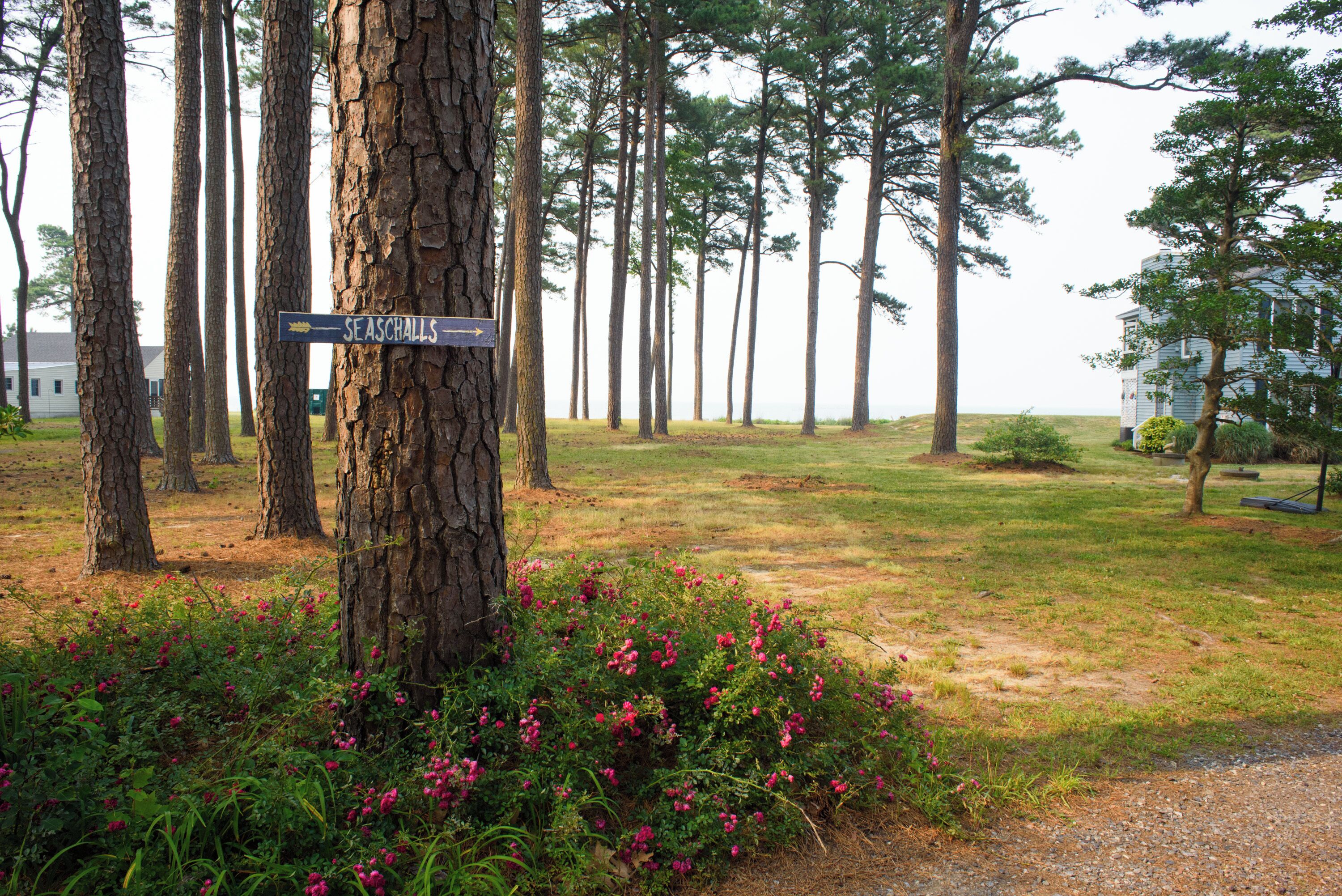 Terrain de l’hébergement 