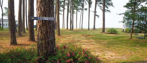 Terrain de lâhĂ©bergement