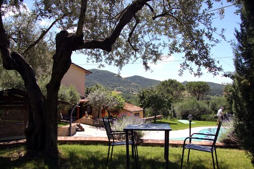 Lovely holiday house: private swimming pool, olive tree garden, cultural setting