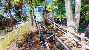 A wooden staircase leading to a cabin with a blue roof, surrounded by trees. - Holiday Hill Resort  "The Captain's Cottage" Unit 720 (Saugatuck)