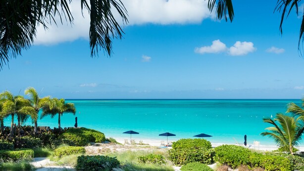 En strand med utsikt över turkost, kristallklart vatten, palmer och några parasoller.