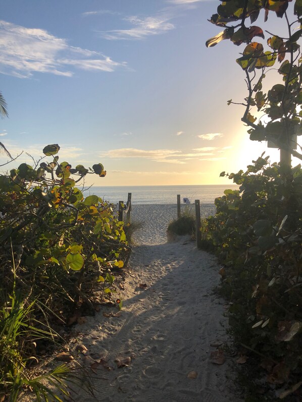 Playa en los alrededores, camastros y toallas de playa 
