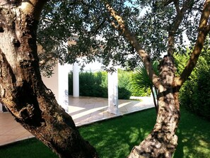 Property grounds - Villa dei Fiori - HIGH SALENTO at 300 m. from the sea (Pantanagianni-pezze Morelli)