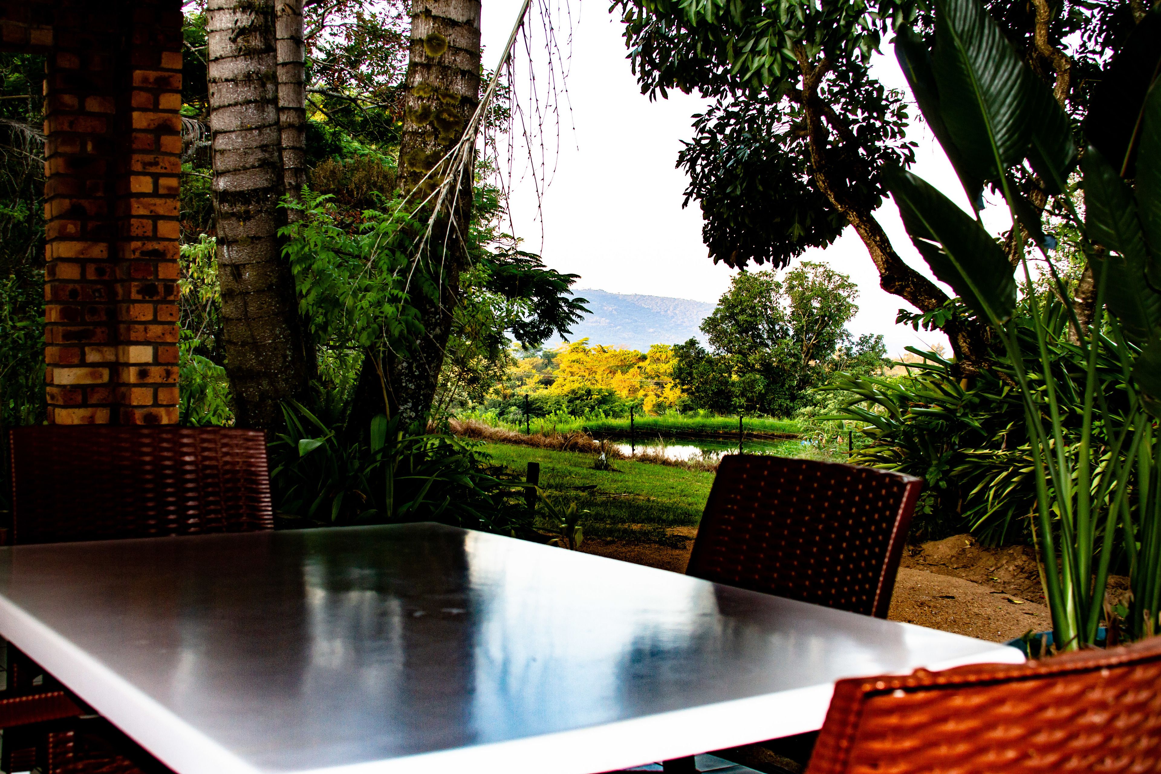 Superior Chalet, Mountain View | Terrace/patio