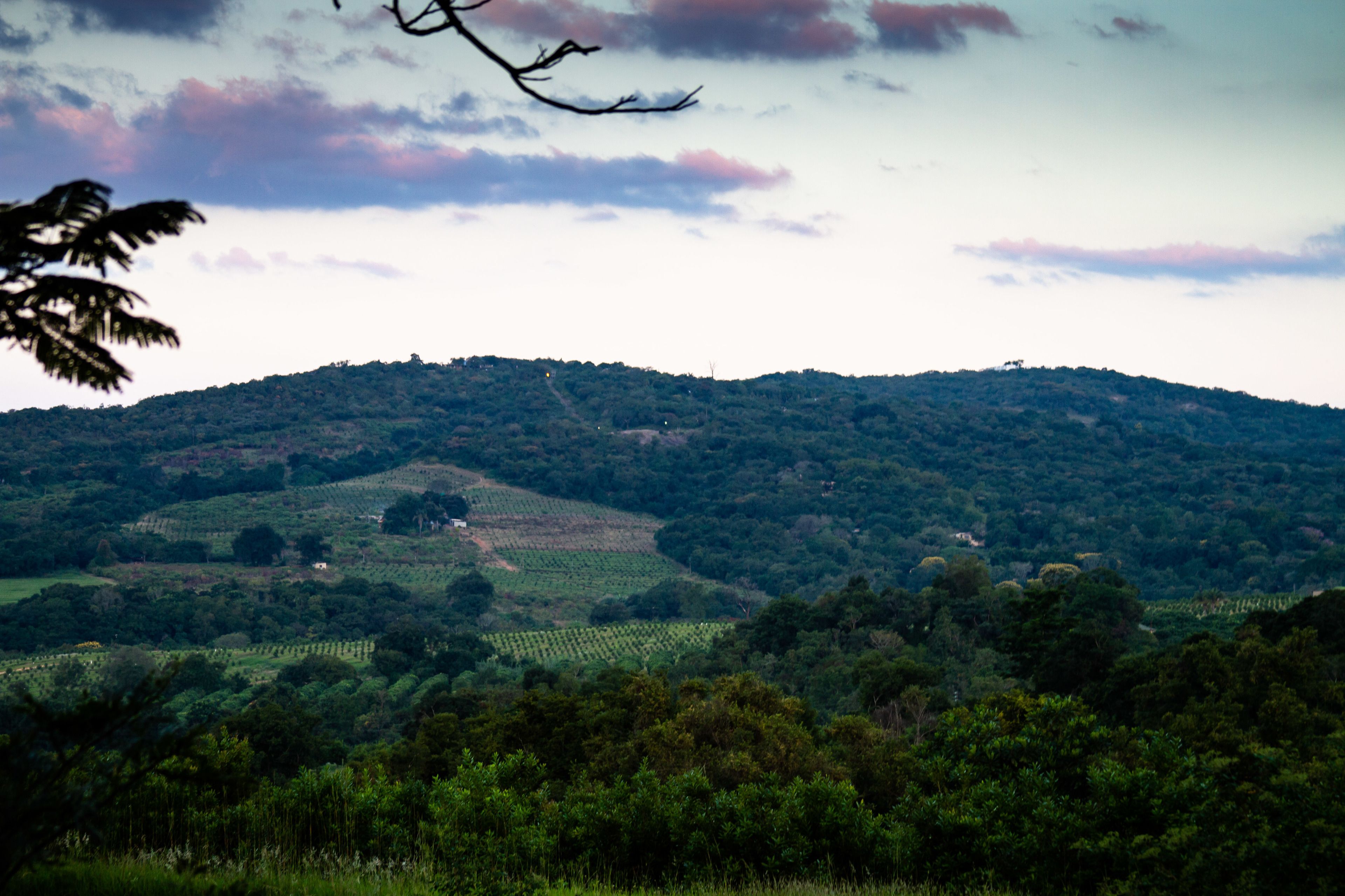 A landscape with a hill, trees, and a clear sky.