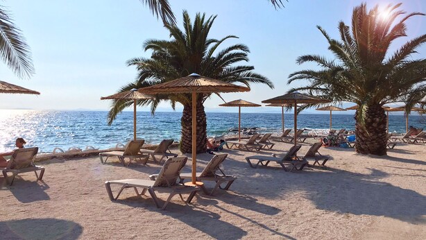 Une plage avec des transats et des palmiers.