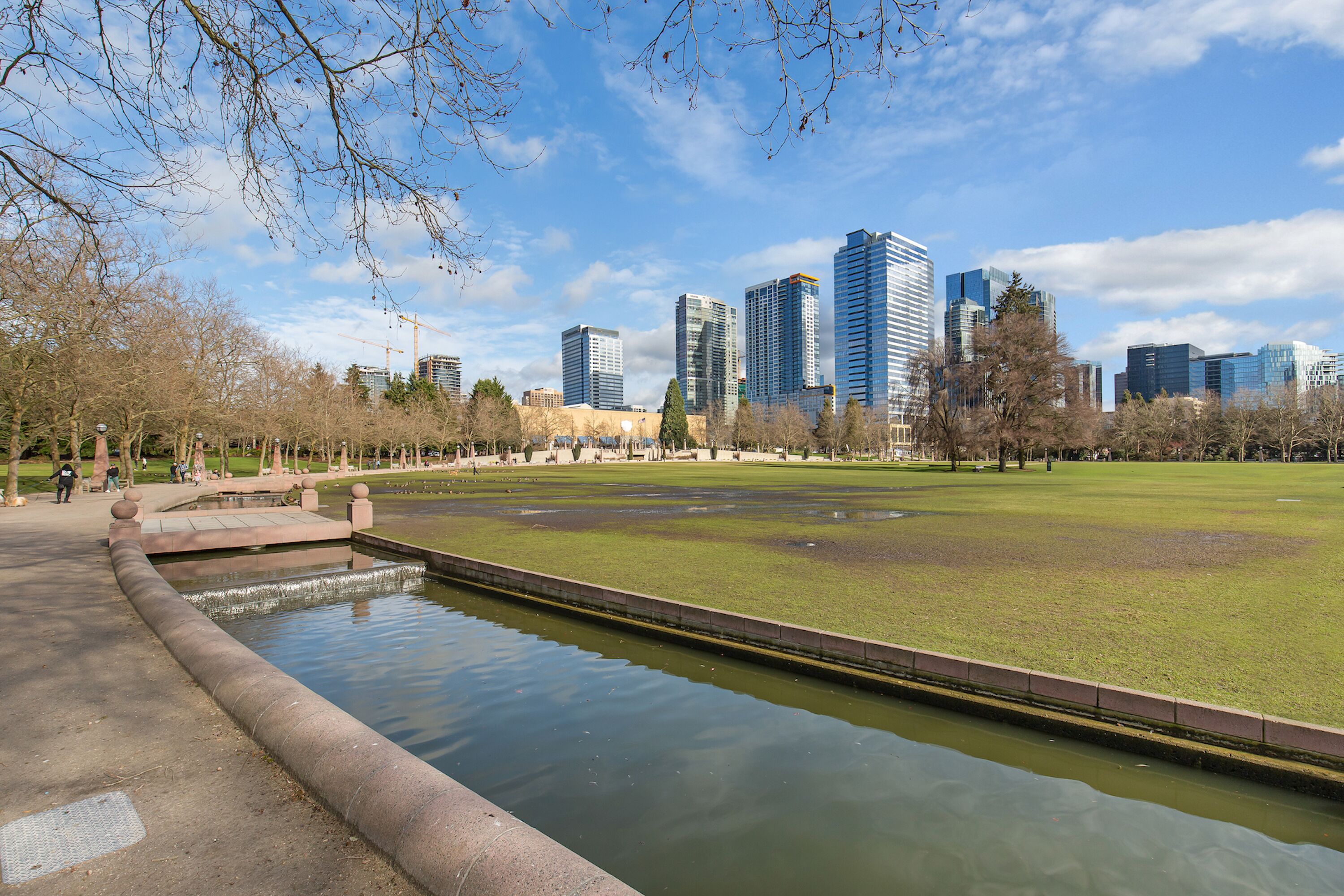 A park with a pond and a cityscape in the background.