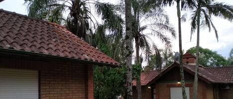 A courtyard with brick buildings, palm trees, and a tiled roof.
