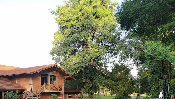 حديقة