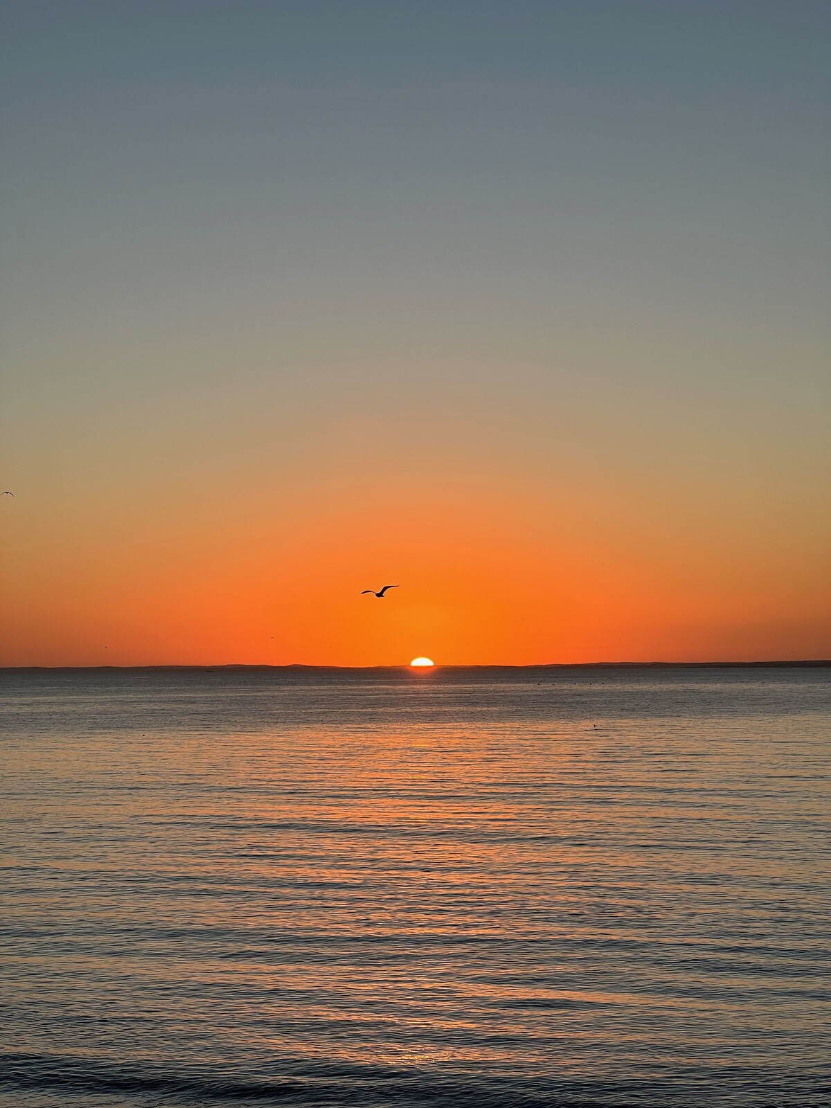 Imagem do perfil do anfitrião