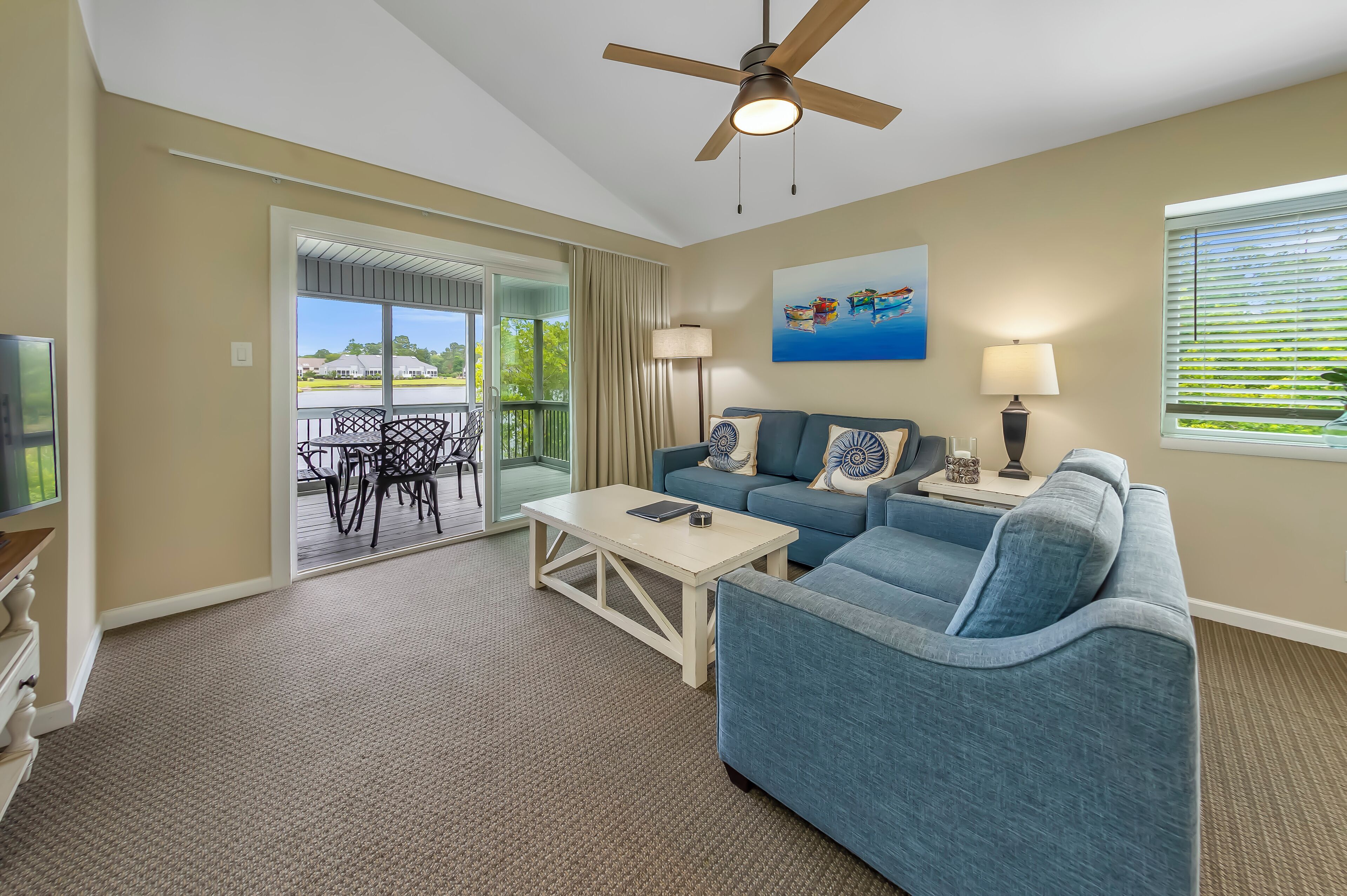 电视、DVD 播放器