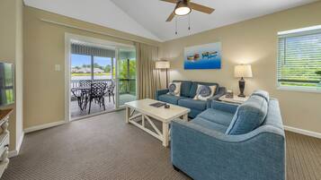 电视、DVD 播放器