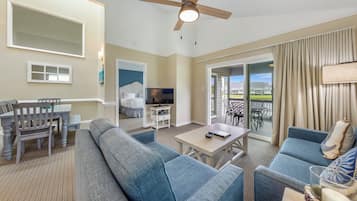 电视、DVD 播放器