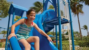 A child on a blue slide at a playground with palm trees in the background.