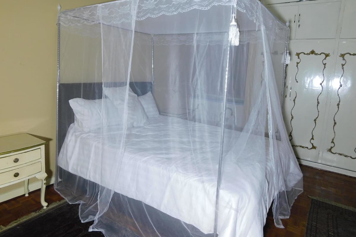 A bed with a white canopy and a nightstand to its left.