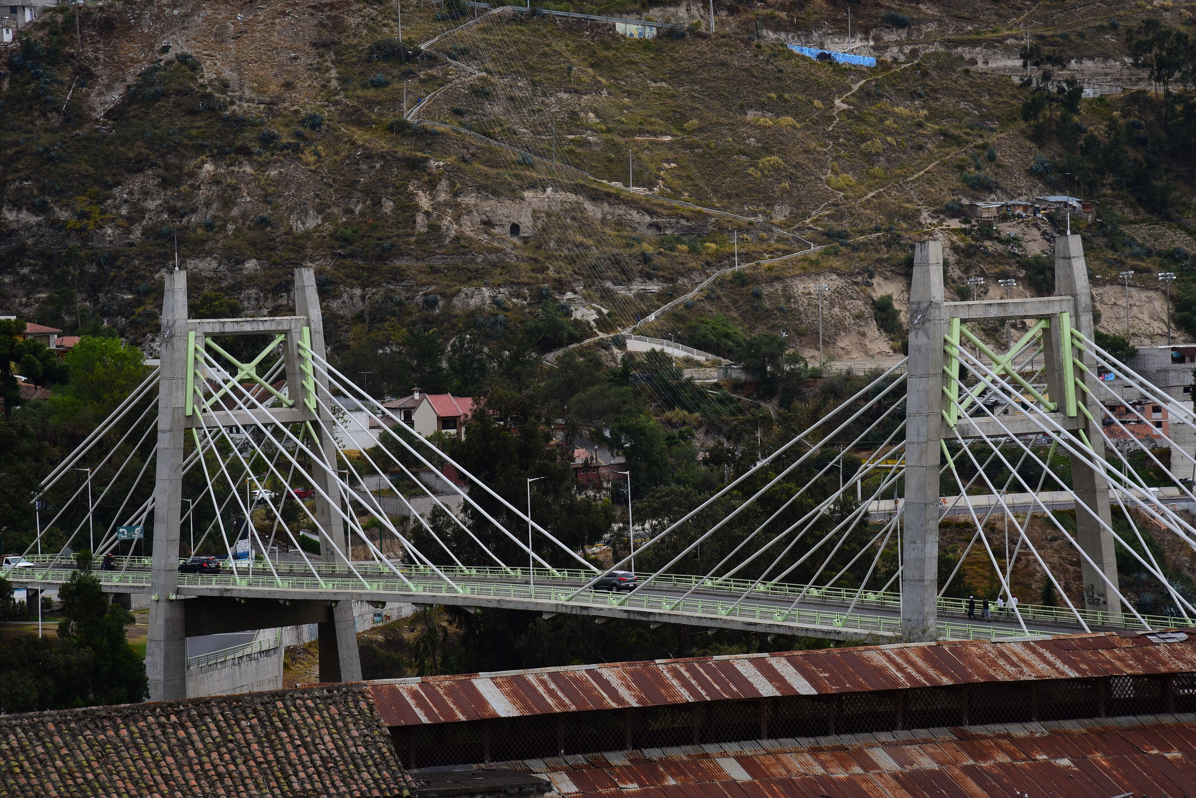 Elite Suite, 1 King Bed, Mountain View | View from room