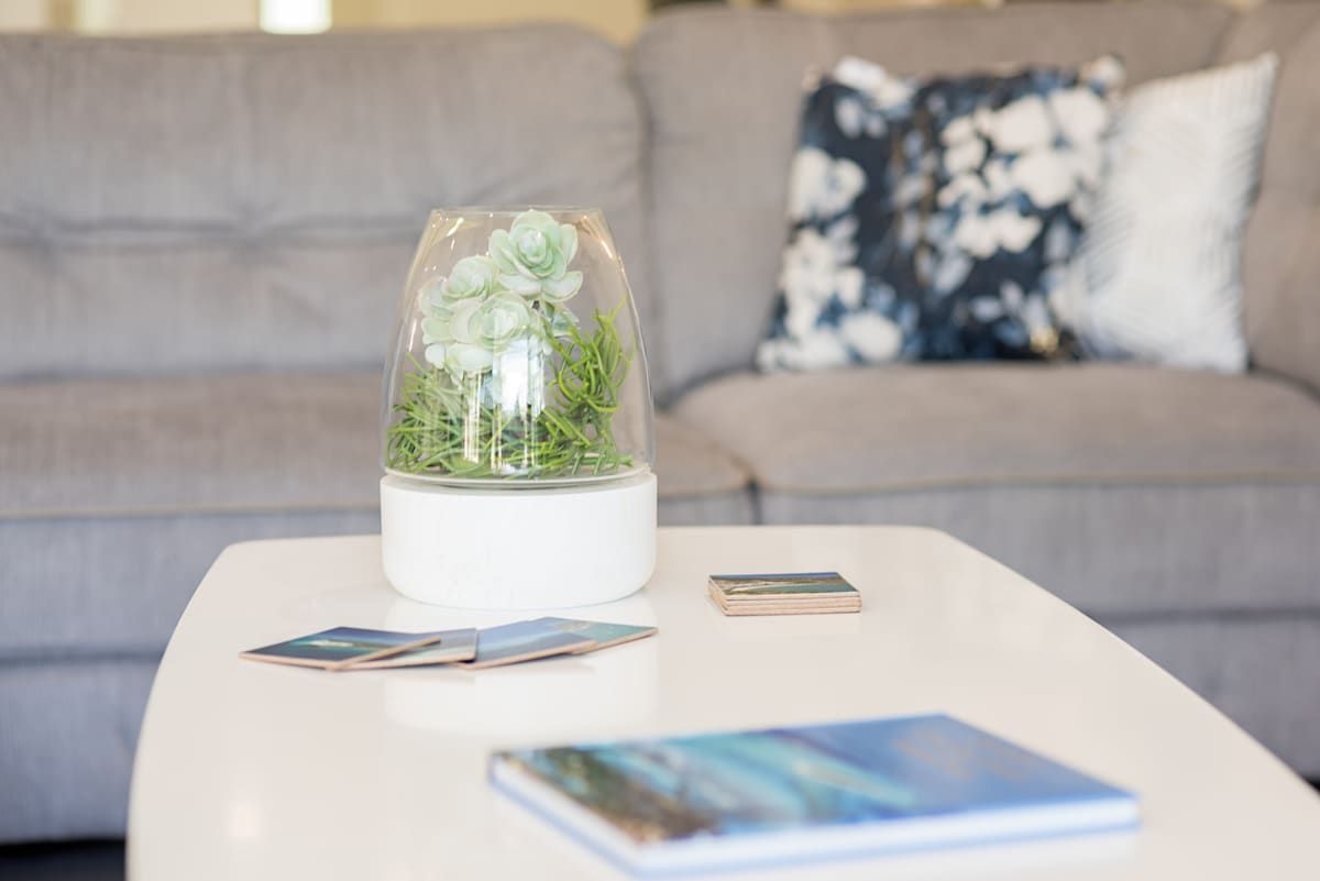 A clear glass dome with green plants on a white table, a grey sofa with patterned cushions in the background, and a few books on the table.