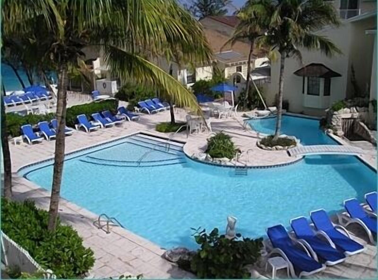 Un espace piscine avec des chaises longues bleues et des palmiers.