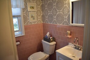 Combined shower/bathtub, hair dryer, towels