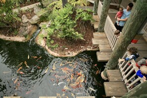 A koi pond with a wooden bridge and a garden area. - Charming Upper Beachfront Cottage-Breathtaking Ocean Views-D8 North Coast Village (Oceanside)