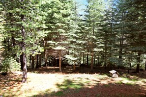 Cabin, 1 King Bed | View from room
