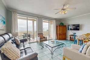 电视、DVD 播放器