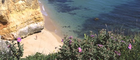 Plage à proximité, chaises longues, serviettes de plage