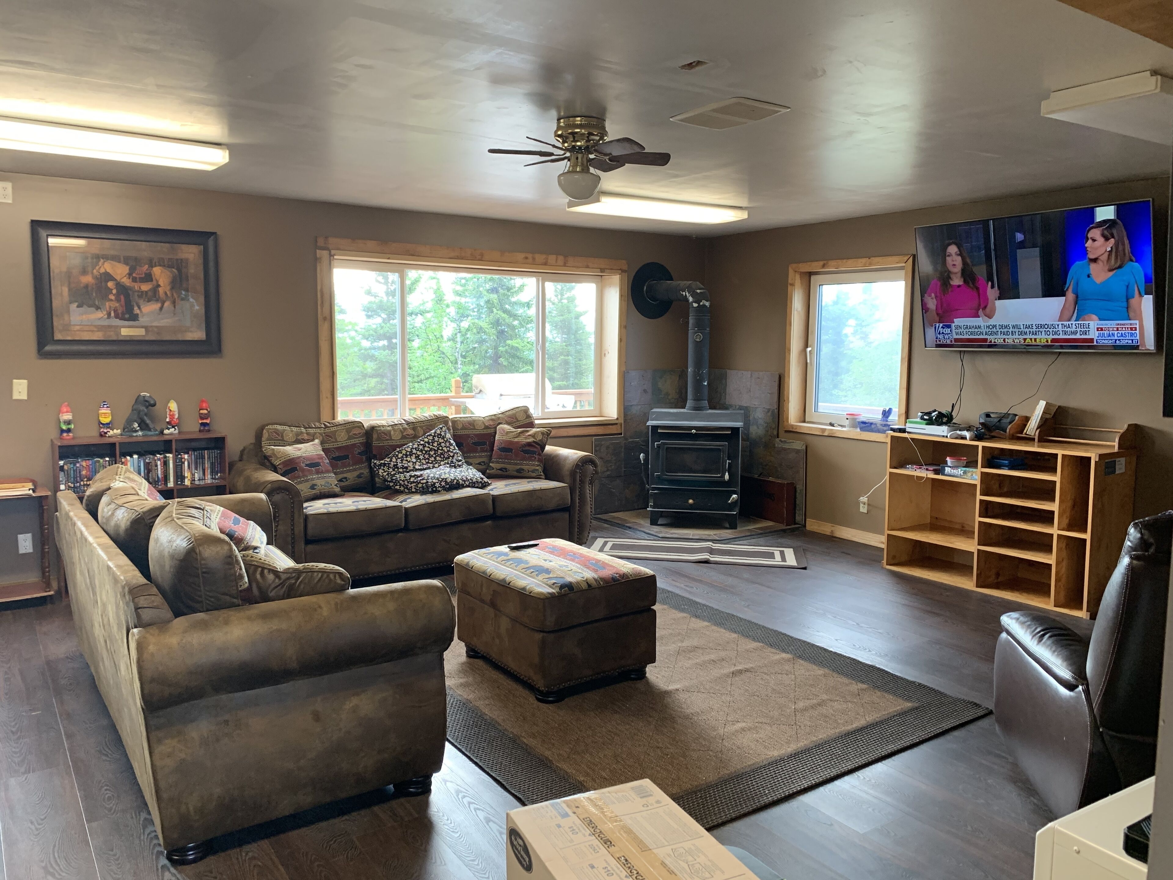 TV, fireplace, DVD player, books
