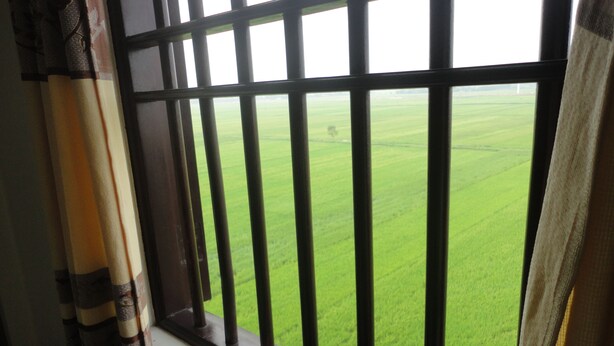 A window with metal bars, a view of a green field, and a curtain partially visible. - Thanh Dat Hotel (Ninh Binh)