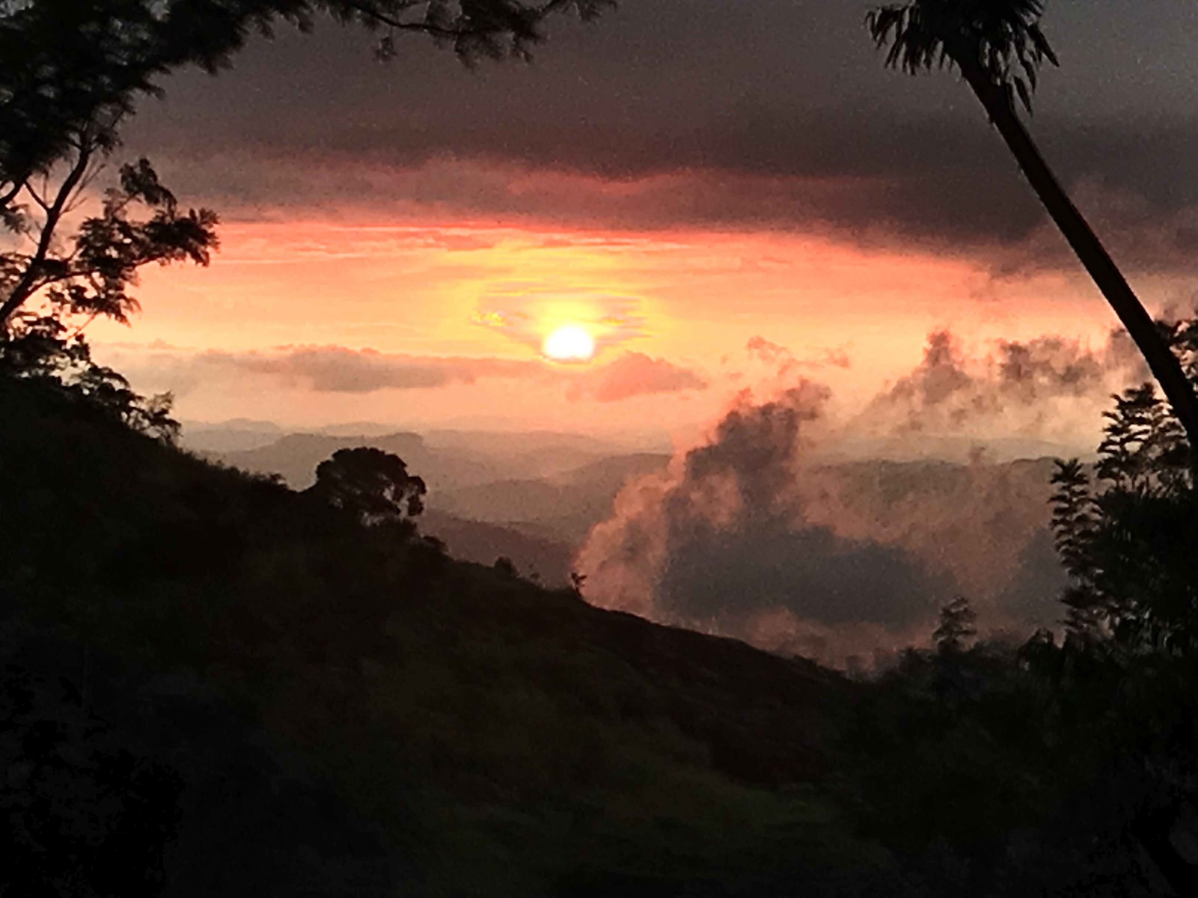 Ein Sonnenuntergang über einer hügeligen Landschaft mit Bäumen im Vordergrund.