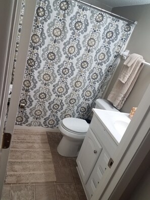 Hair dryer, towels, soap, shampoo