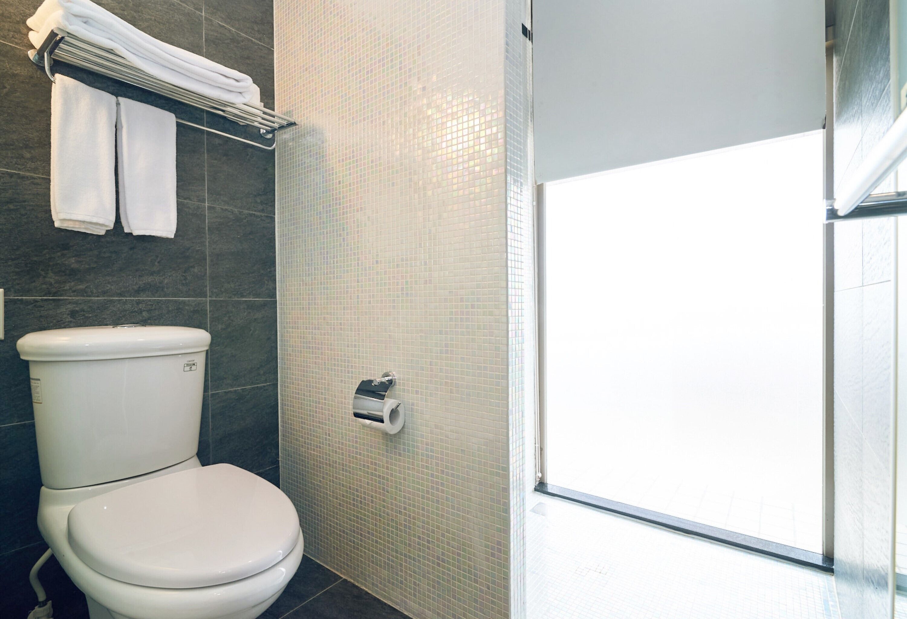 A modern bathroom with a toilet, a towel rack, and a shower area.