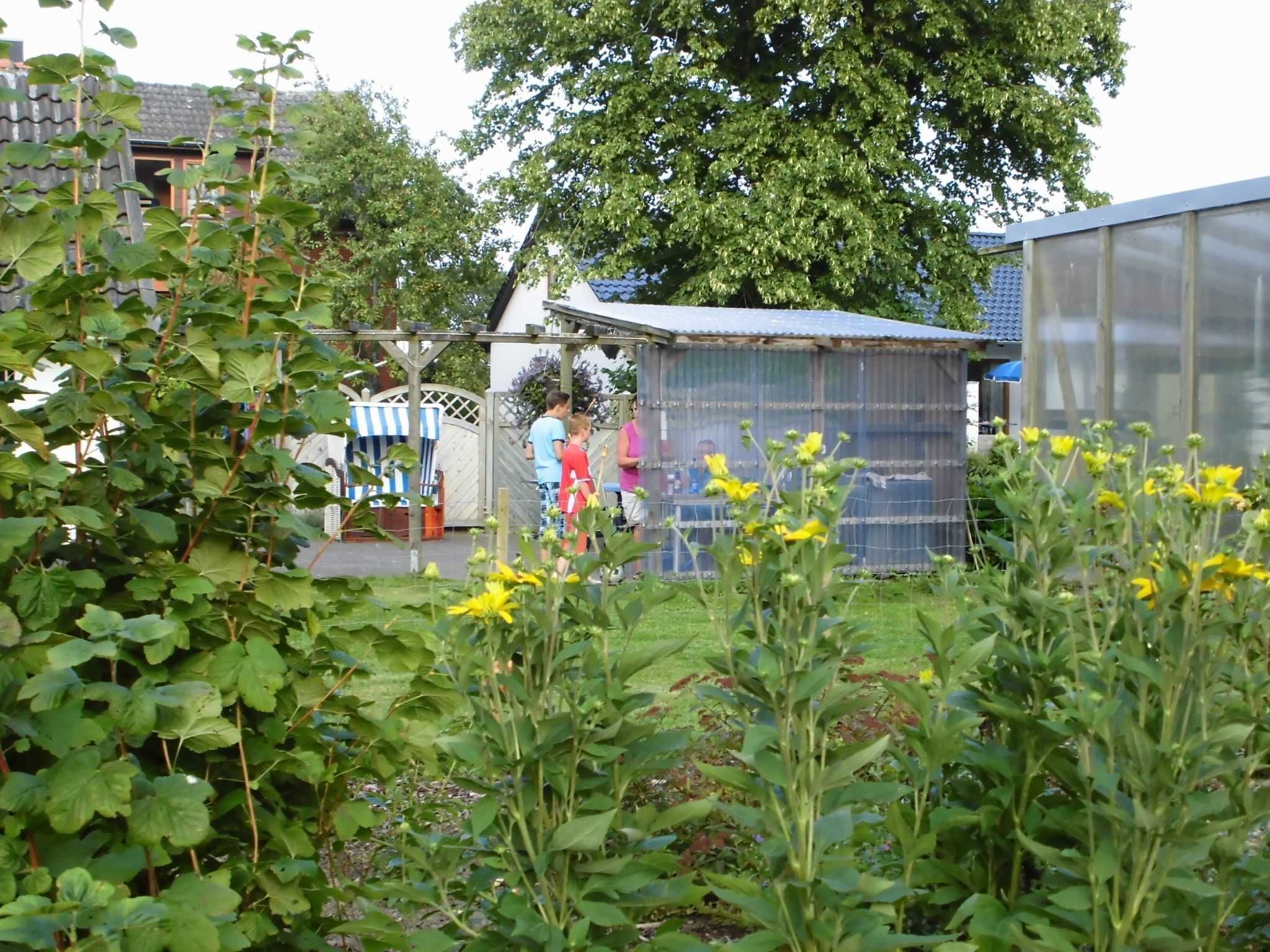 A garden with a small house and a greenhouse.