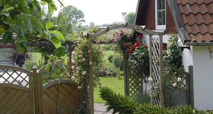 Ferienhof Jens Apartment 8 - Appartement 8