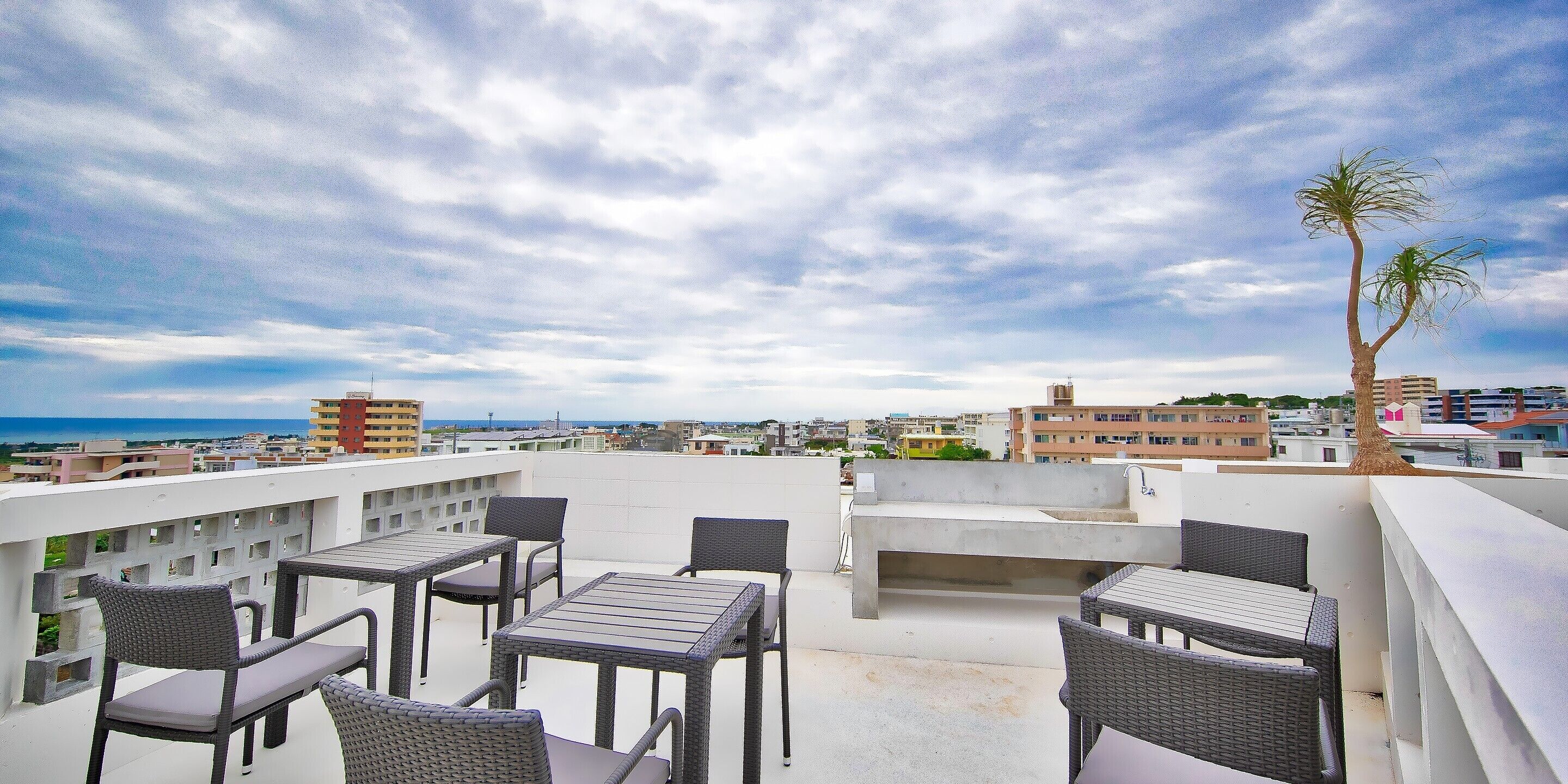 A rooftop terrace with outdoor seating, a palm tree, and a view of the city and sea.