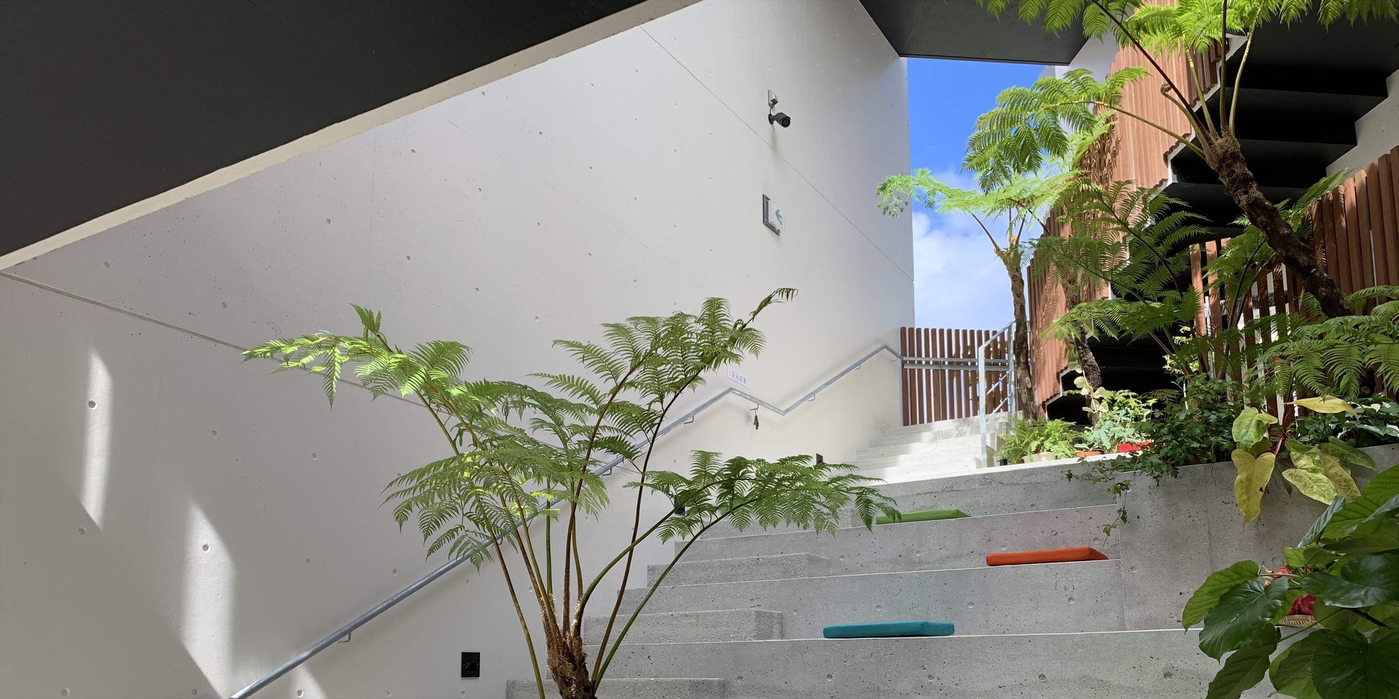 Un escalier avec des marches en béton et des rampes en métal, entouré d’une végétation luxuriante et d’arbres.