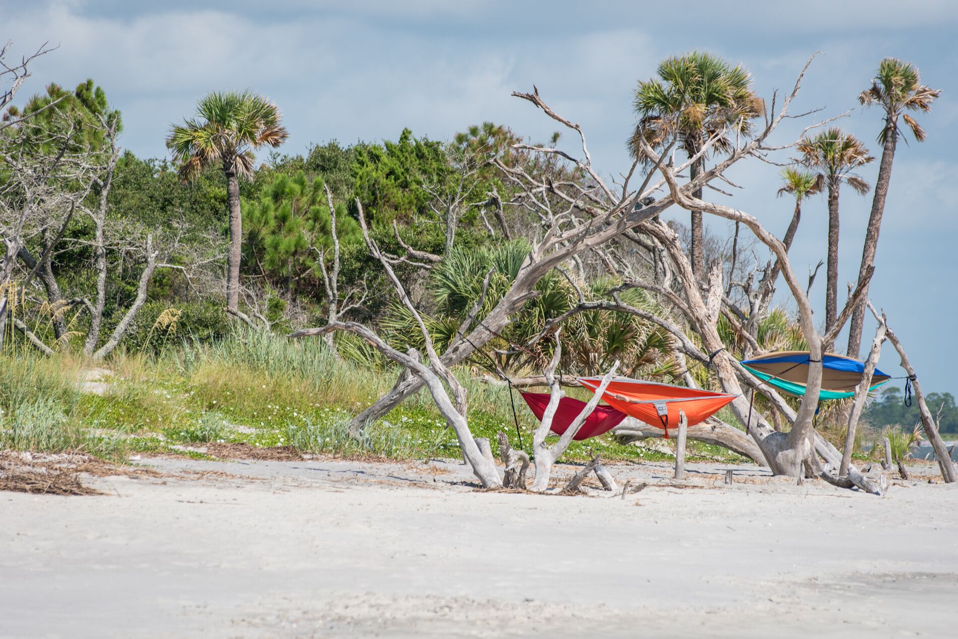 Una playa con dos barcos atados a árboles, rodeada de palmeras y otra vegetación.
